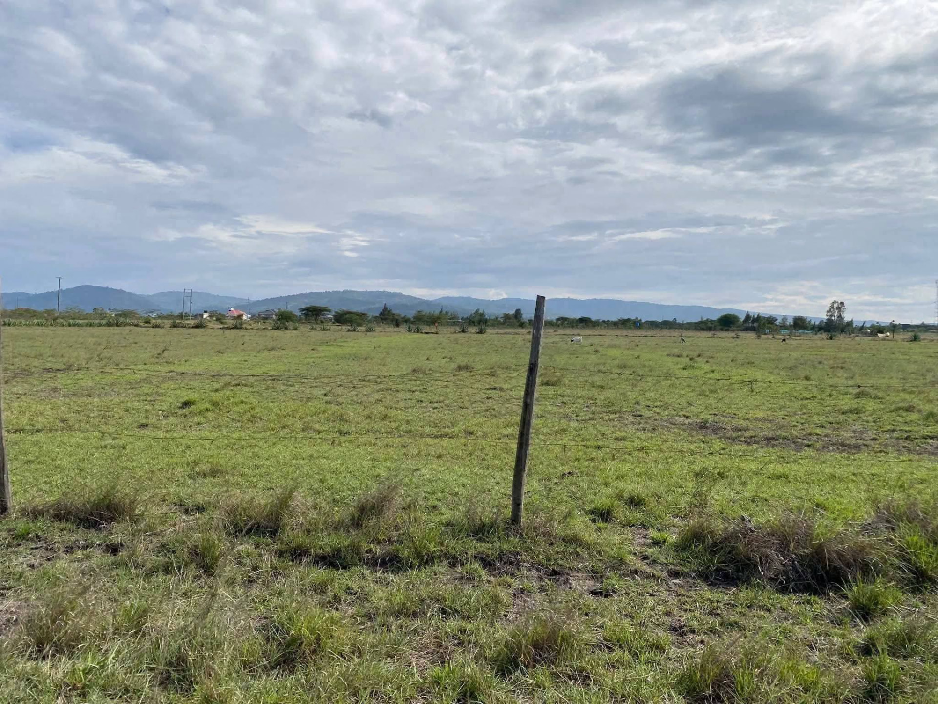 Prime 9.3 Acres — Koma, Kangundo Road