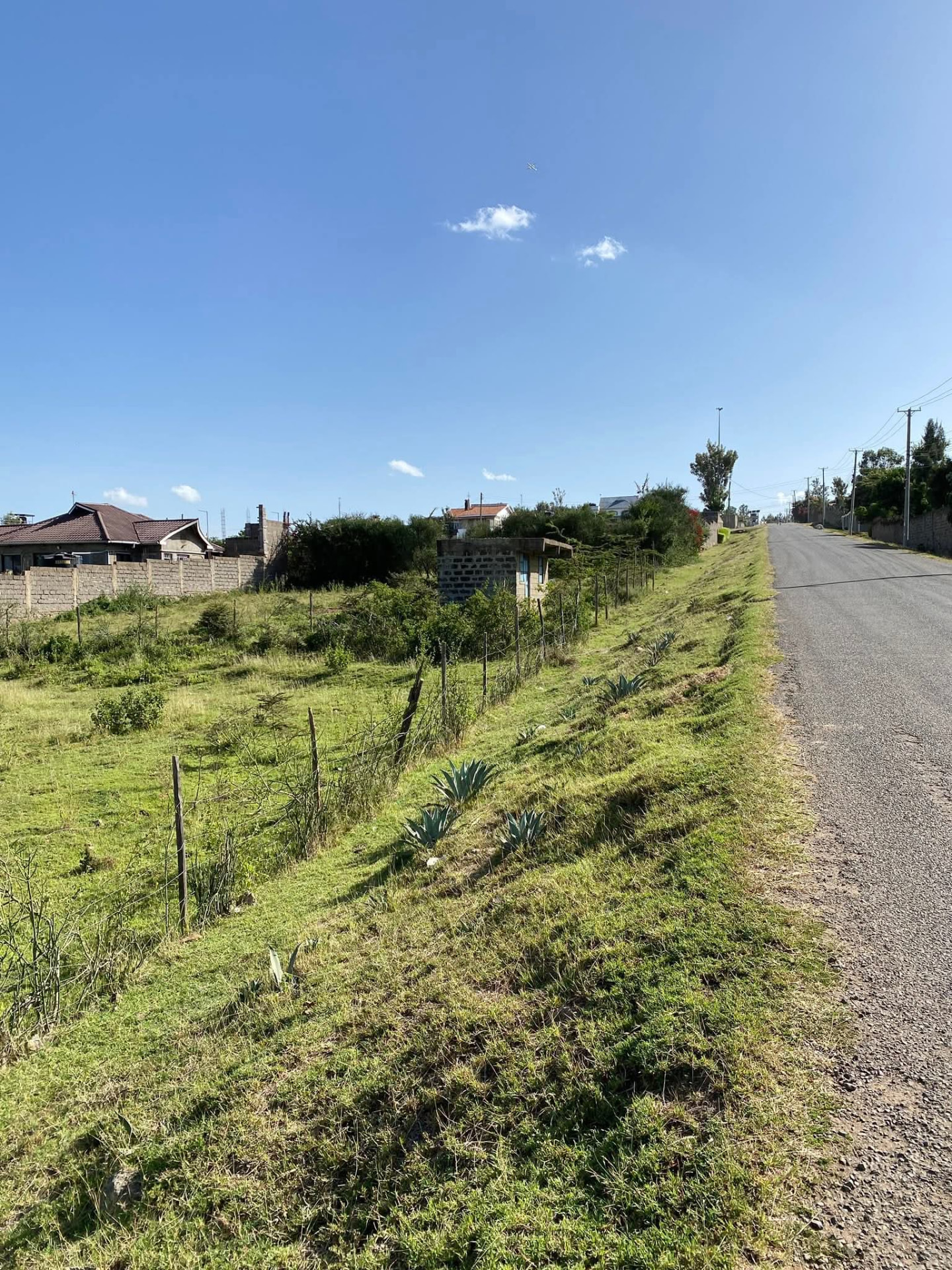 Prime 100x100 Plot — Ruai