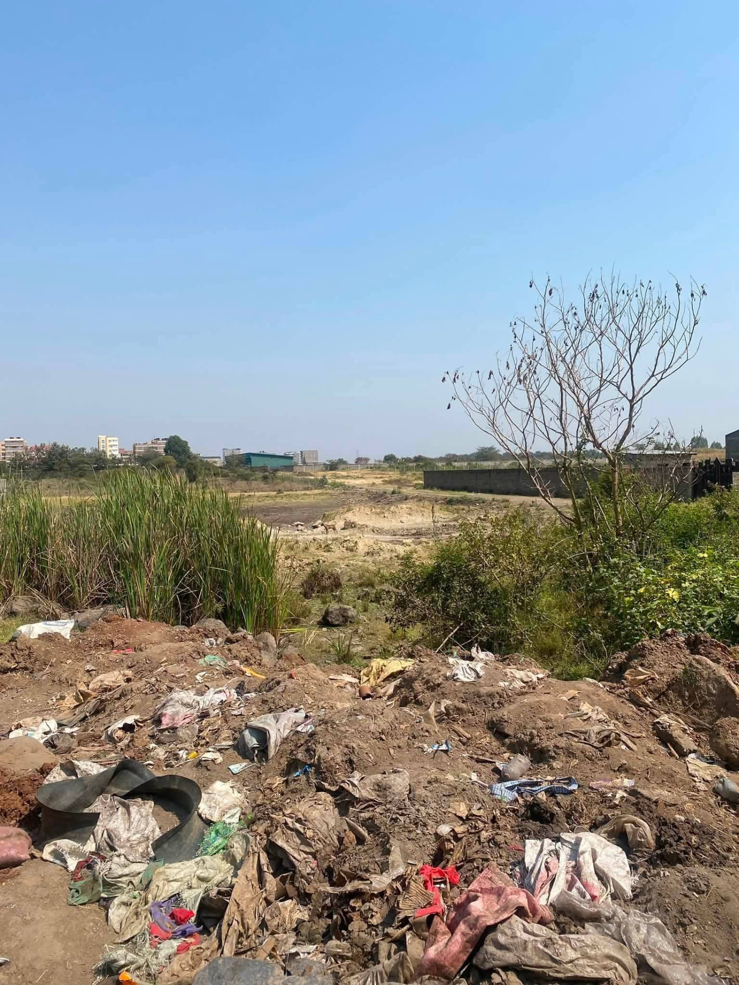 Prime Commercial Plot (50x100) — Eastern Bypass